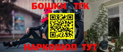 прущий лед Пугачёв