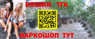 прущий лед Пугачёв