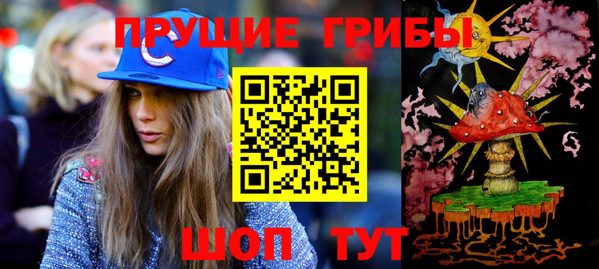 Заречный  Галлюциногенные грибы Cubensis  Псилоцибиновые грибы мухоморы  хочу   Вход с VPN 