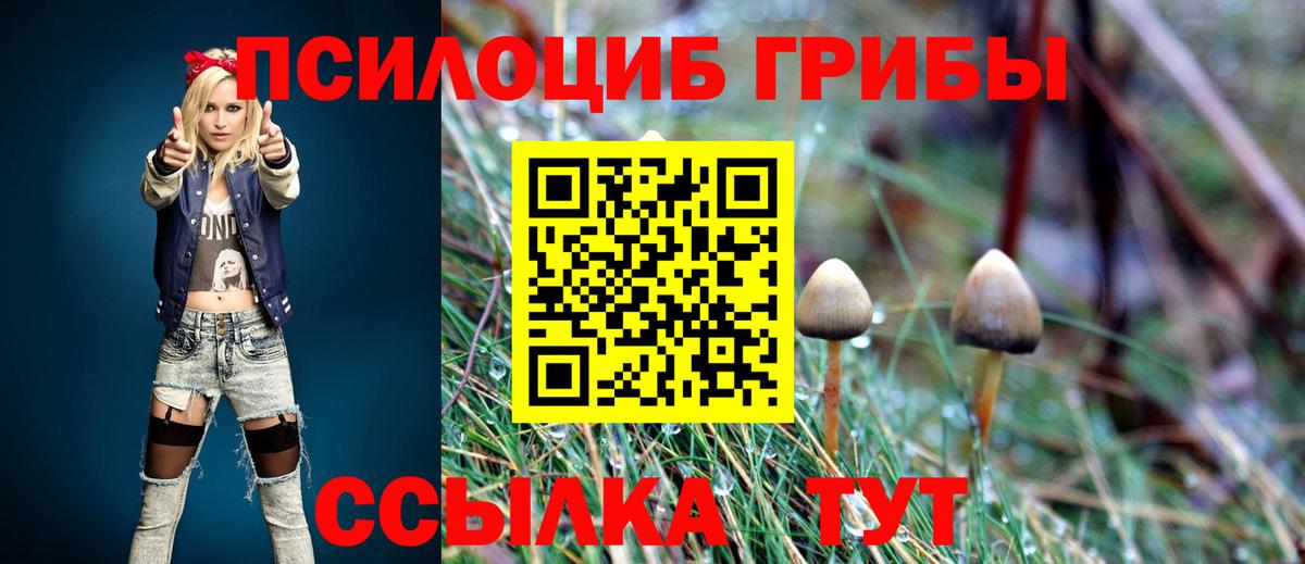 Псилоцибиновые грибы MAGIC MUSHROOMS Заречный
