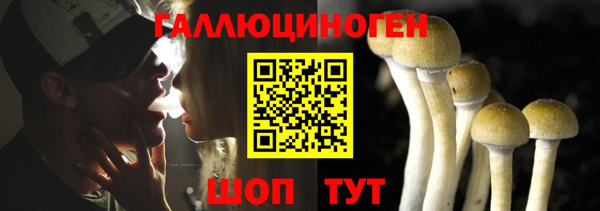 Заречный  Вход с VPN  Alpha-PVP СК   Меф   Гашиш 